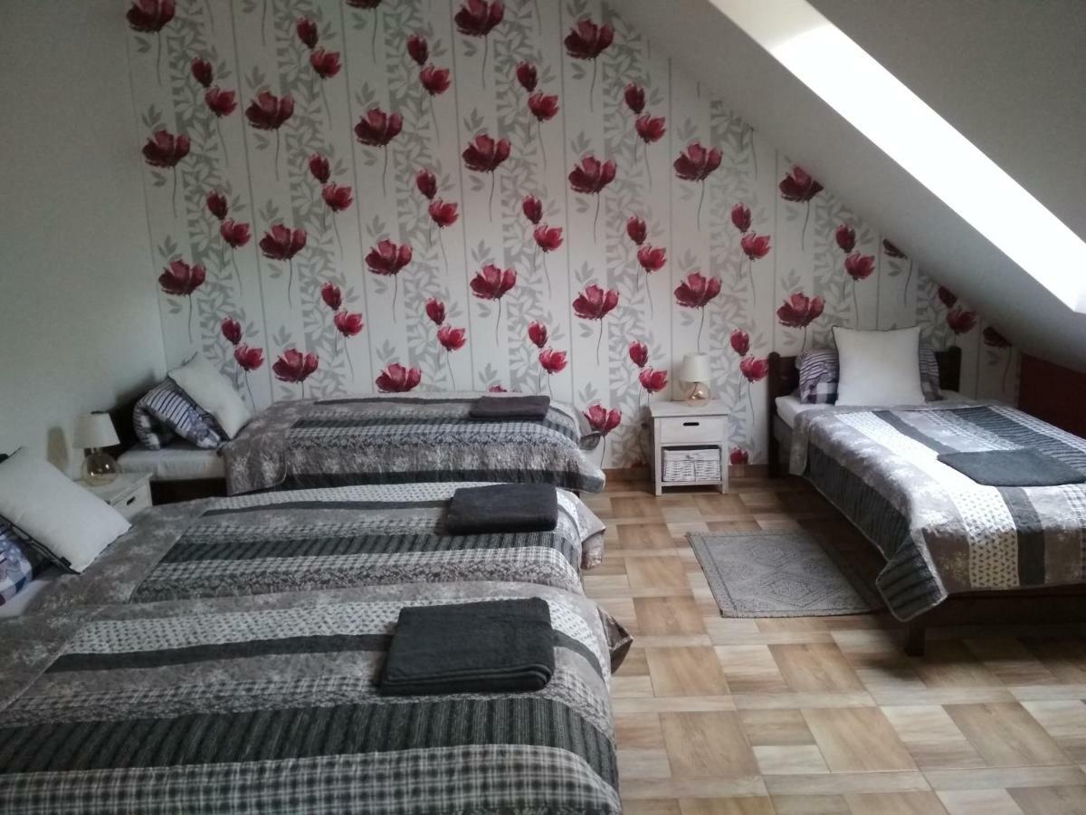 Koci Grzbiet Agroturystyka Dzierzazno Wielkie المظهر الخارجي الصورة