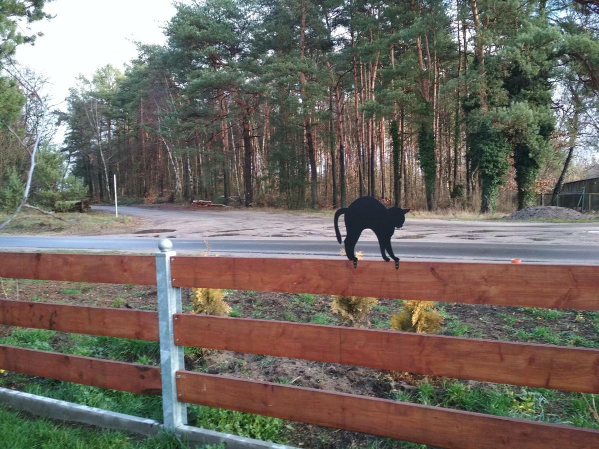 Koci Grzbiet Agroturystyka Dzierzazno Wielkie المظهر الخارجي الصورة